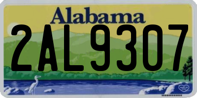 AL license plate 2AL9307