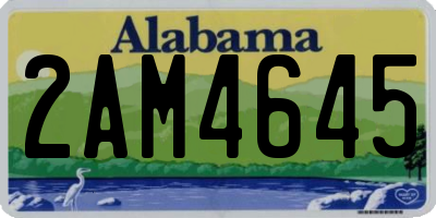 AL license plate 2AM4645