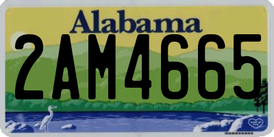 AL license plate 2AM4665