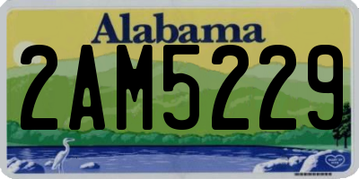 AL license plate 2AM5229