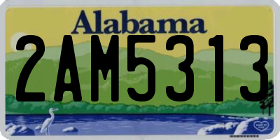 AL license plate 2AM5313