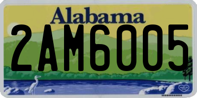 AL license plate 2AM6005