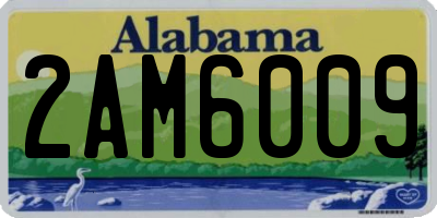 AL license plate 2AM6009
