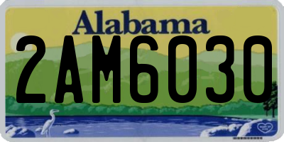 AL license plate 2AM6030
