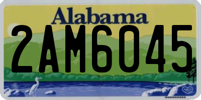 AL license plate 2AM6045