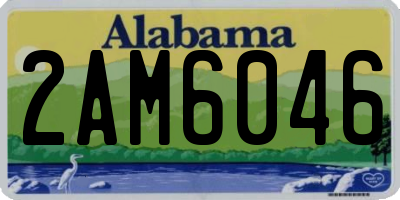 AL license plate 2AM6046