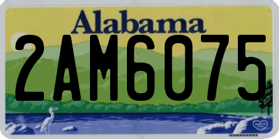 AL license plate 2AM6075