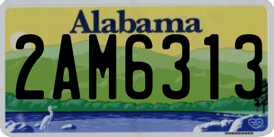 AL license plate 2AM6313