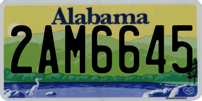 AL license plate 2AM6645