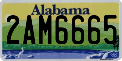 AL license plate 2AM6665