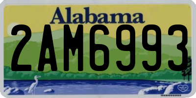 AL license plate 2AM6993