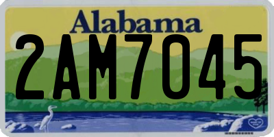 AL license plate 2AM7045