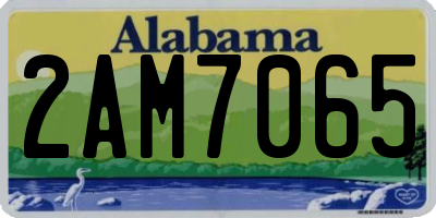 AL license plate 2AM7065