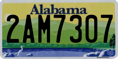 AL license plate 2AM7307