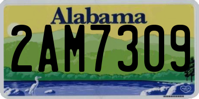 AL license plate 2AM7309