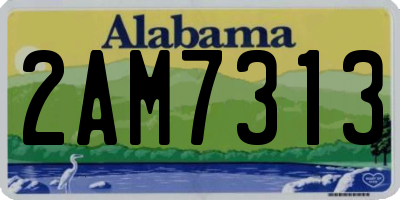 AL license plate 2AM7313