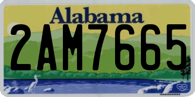 AL license plate 2AM7665