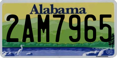 AL license plate 2AM7965