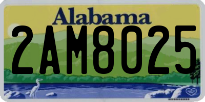 AL license plate 2AM8025