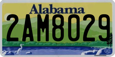 AL license plate 2AM8029