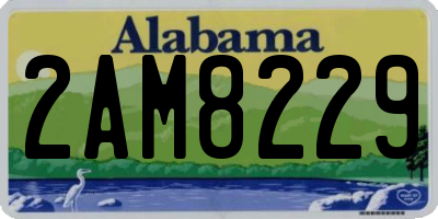 AL license plate 2AM8229