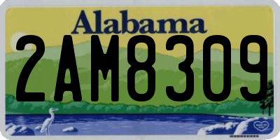 AL license plate 2AM8309