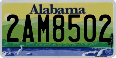 AL license plate 2AM8502