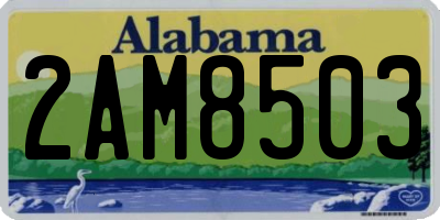 AL license plate 2AM8503