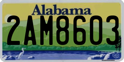 AL license plate 2AM8603
