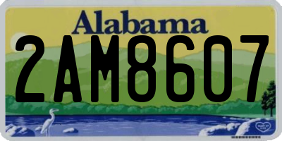 AL license plate 2AM8607