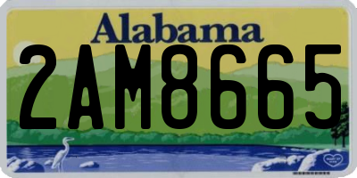 AL license plate 2AM8665