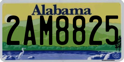 AL license plate 2AM8825