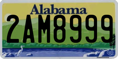 AL license plate 2AM8999