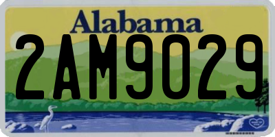 AL license plate 2AM9029