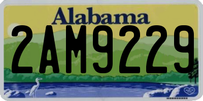 AL license plate 2AM9229