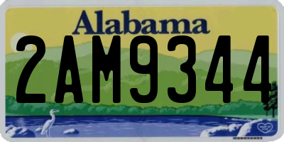 AL license plate 2AM9344