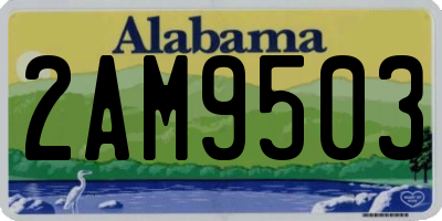 AL license plate 2AM9503