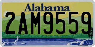 AL license plate 2AM9559