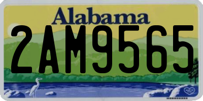 AL license plate 2AM9565