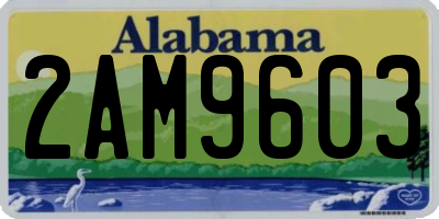 AL license plate 2AM9603