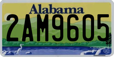 AL license plate 2AM9605