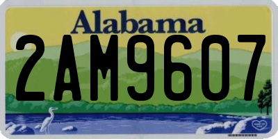AL license plate 2AM9607