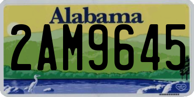 AL license plate 2AM9645