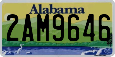 AL license plate 2AM9646