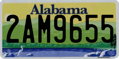 AL license plate 2AM9655