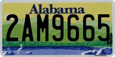 AL license plate 2AM9665