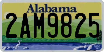 AL license plate 2AM9825