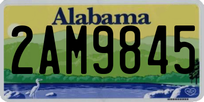 AL license plate 2AM9845