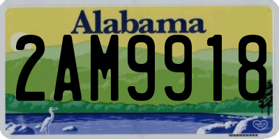 AL license plate 2AM9918