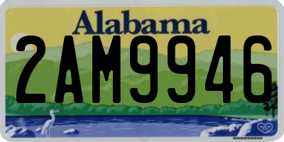 AL license plate 2AM9946